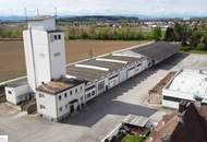 Großzügige Industriehalle in St. Valentin mit Einfahrtstor und überdachter Zufahrt