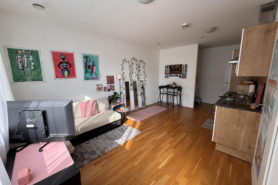 Ausgezeichnete 1,5 Zimmerwohnung nahe dem Zentrum, Wohnung-miete, 779,00,€, 4020 Linz(Stadt)