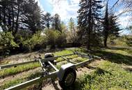 BAUGRUNDSTÜCK IN EINZIGARTIGER LAGE DIREKT AM MÜHLWASSER - NÄHE DONAUSPITAL