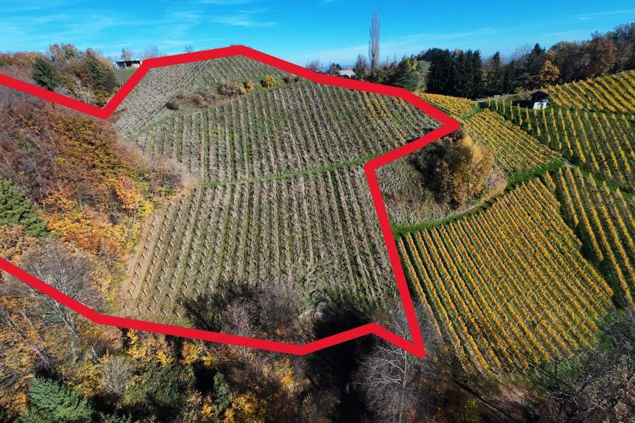 Weingarten mit Landwirtschaft in Kranach, Gemeinde Gamlitz ( ZONE III ), Gewerbeobjekt-kauf, 199.000,€, 8462 Leibnitz