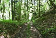Landwirtschaftliches Anwesen mit angeschlossenem Wald und Agrarflächen