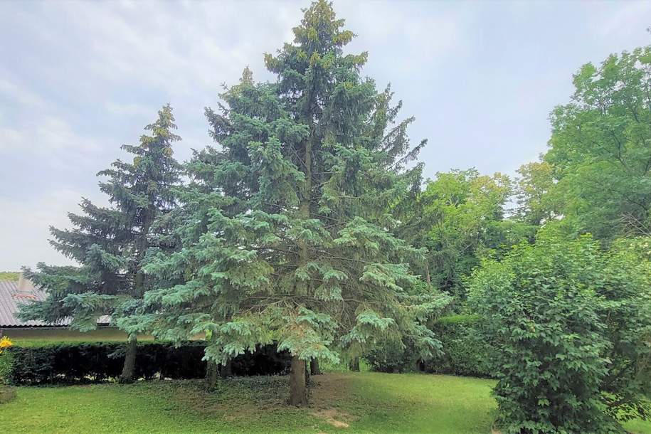 Wohnen ínmitten der Natur in Wolfsbergen, Gemeinde Hagenbrunn, Grund und Boden-kauf, 369.000,€, 2102 Korneuburg