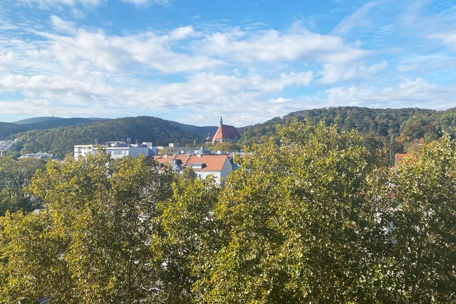 "GestaltungsPOTENZIAL trifft AUSBLICK!", Wohnung-kauf, 120.000,€, 2340 Mödling