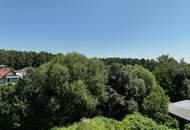 eines der letzten Baugrundstücke in Roithen