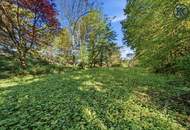 Wo die Seele ihr Zuhause findet: Ein Kunstwerk zwischen Wald und Wien