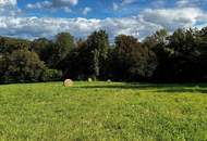 Baugrund G08 in ruhiger Aussichtslage, weitere Grundstücksgrößen verfügbar