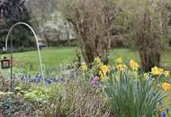 Bungalow mit großem Grundstück inmitten der Wachau