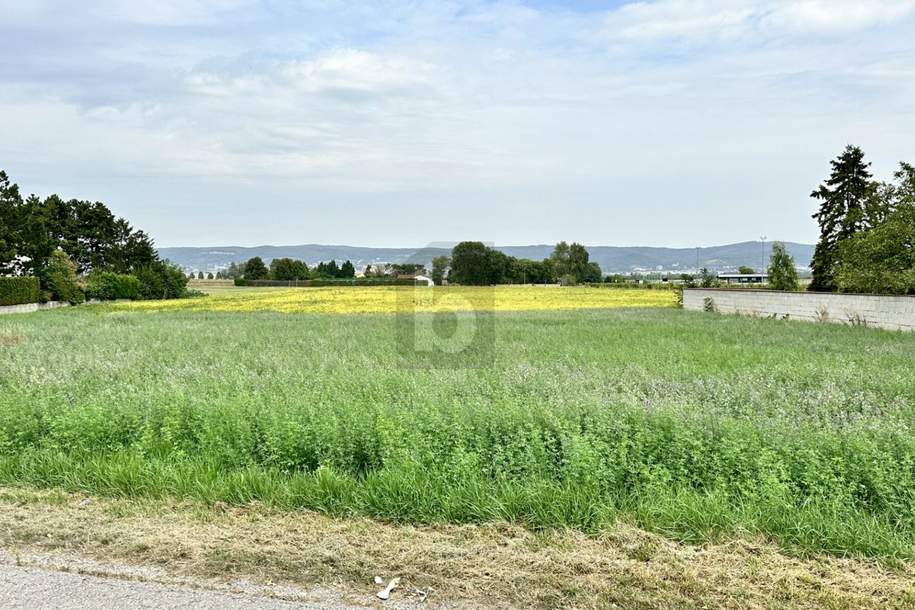 EBEN IN SONNIGER SIEDLUNGSRUHELAGE, Grund und Boden-kauf, 235.000,€, 7061 Eisenstadt-Umgebung