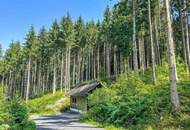 PERFEKTER HOBBY-WALD mit Arbeitshütte !