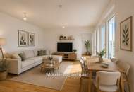 Ein Blick über die Dächer von Wien. 2 Zimmerwohnung mit Terrasse