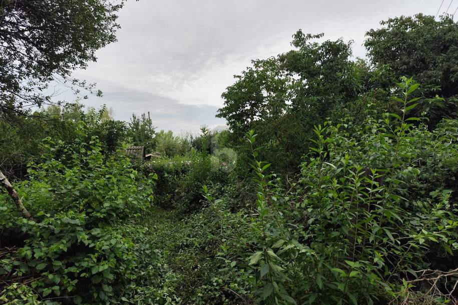 DEIN GRÜNES PARADIES WARTET: RÜCKZUGSORT MIT VIEL PLATZ, Grund und Boden-kauf, 59.000,€, 2544 Baden