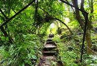 PREIS REDUZIERT! HANDWERKER GESUCHT! Haus in Matzen