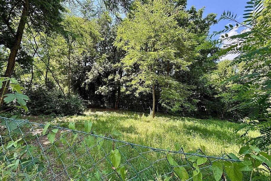 Platz für ein Einfamilien- oder Doppelhaus - Eigengrund am Ödberg in sonniger, grüner Umgebung, Grund und Boden-kauf, 495.000,€, 3400 Tulln
