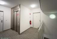 NEUES IM SECHZEHNER LAND - TOP 15