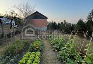 ALLEINLAGE IM GRÜNEN – ein Ort für Menschen, die Freiheit, Ruhe und Natur lieben!