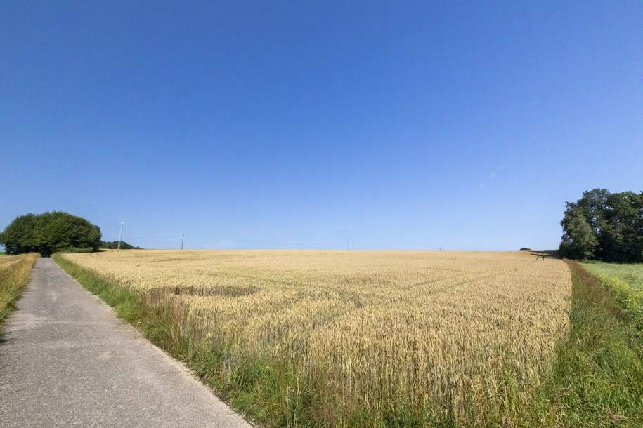 Landwirtschaftliche Fläche - Acker, Grund und Boden-kauf, 700.000,€, 4880 Vöcklabruck
