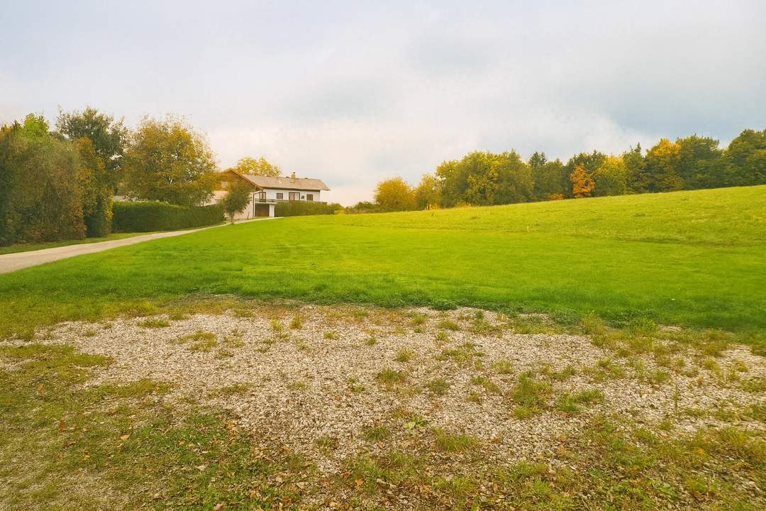 Exklusiver Baugrund in Holzöster