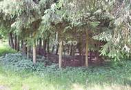 Großes Grundstück mit Fischteich und Badeteich, Erholungsanlage, Freizeitparadies mit viel Potenzial