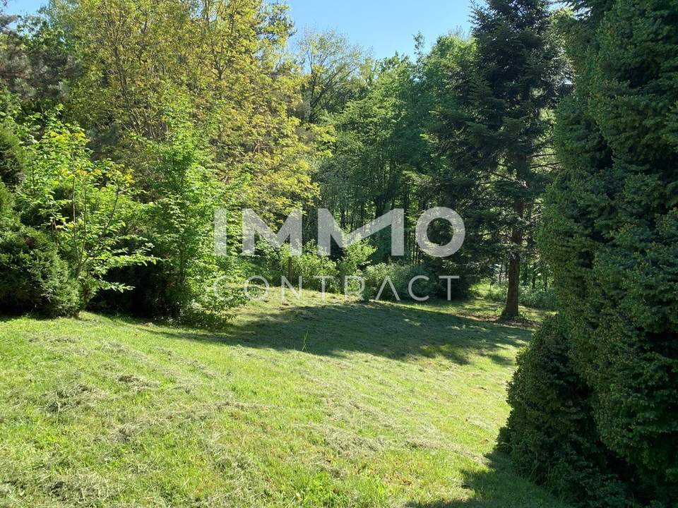 Großes Baugrundstück mit Altbestand - sonnige Flachhanglage!