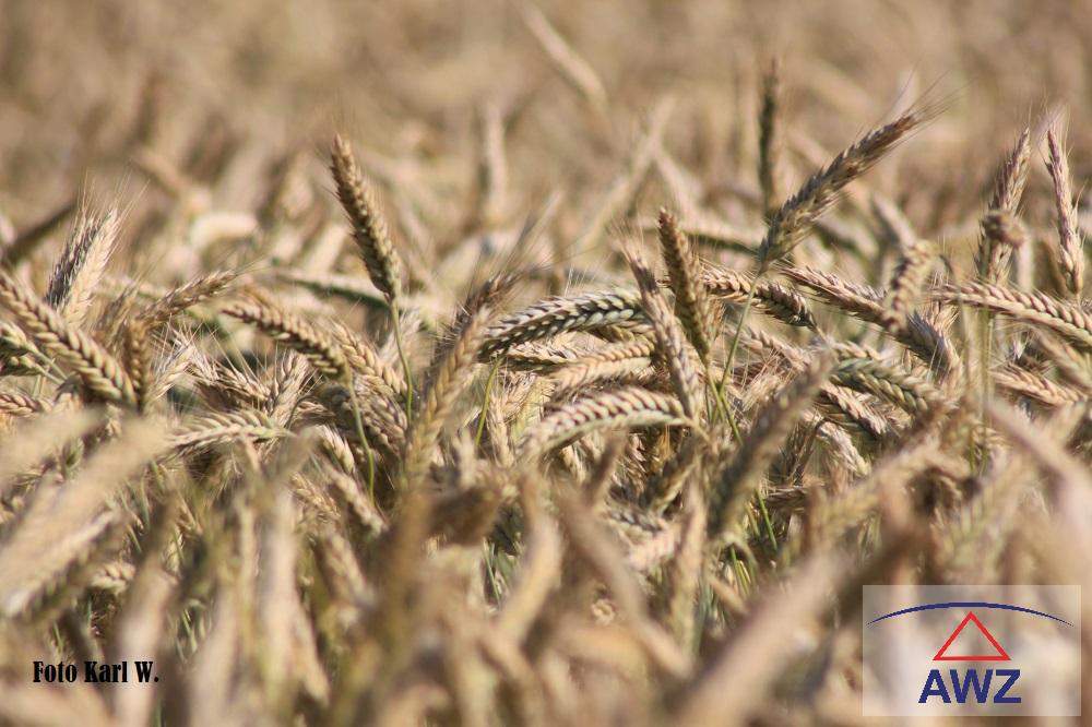 Verkaufe schöne Ackerfläche mit ca. 1,5 Hektar!