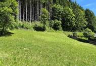 Grundstück in schöner Aussichtslage!