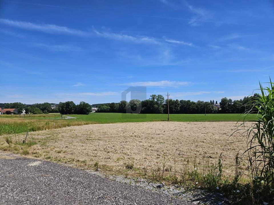 NATUR PUR IN SÜDLICHER AUSRICHTUNG!