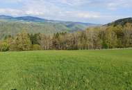 2 Baugrundstücke in traumhafter Aussichtslage