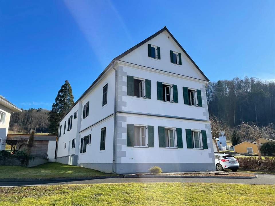 Ein großes Familien-Wohnhaus zum Renovieren, Bastlertraum, wenig Garten