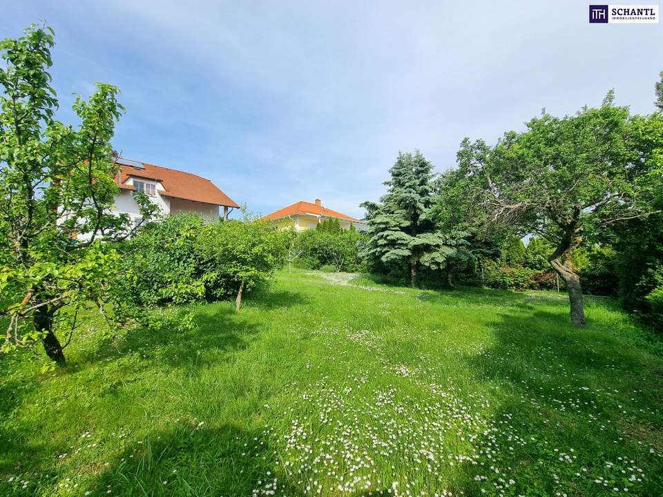 WOW! Erfüllen Sie Ihren Traum vom eigenen Haus! 8 Zimmer + Riesiger Garten + Viel Grün + Traumterrasse mit Fernblick! Mehr Lebensqualität - Mehr vom Leben! Jetzt zugreifen!