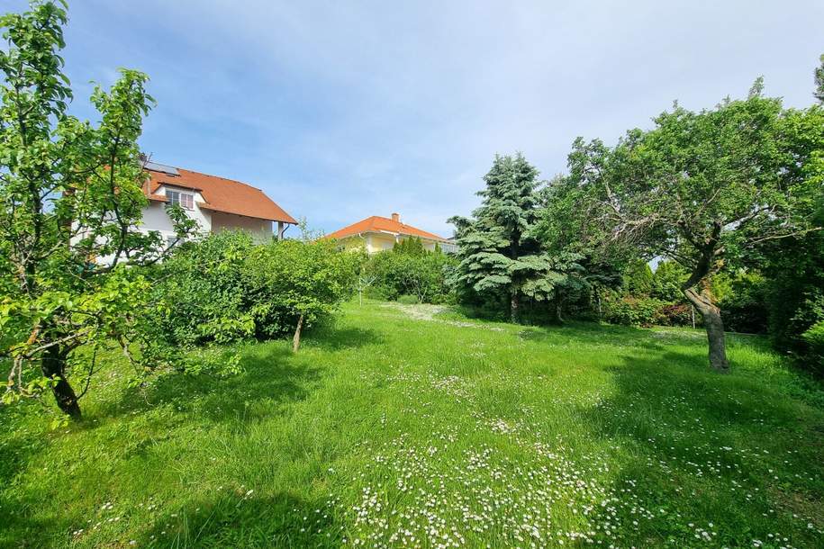 WOW! Erfüllen Sie Ihren Traum vom eigenen Haus! 8 Zimmer + Riesiger Garten + Viel Grün + Traumterrasse mit Fernblick! Mehr Lebensqualität - Mehr vom Leben! Jetzt zugreifen!, Haus-kauf, 579.000,€, 7051 Eisenstadt-Umgebung